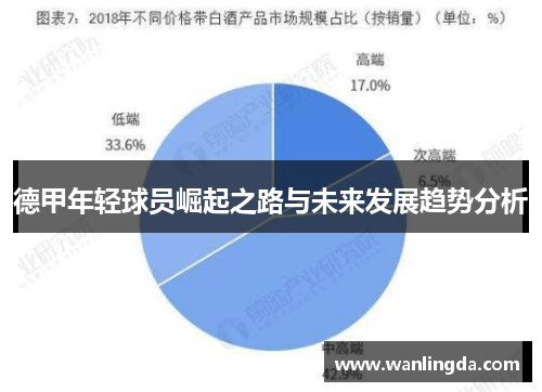 德甲年轻球员崛起之路与未来发展趋势分析